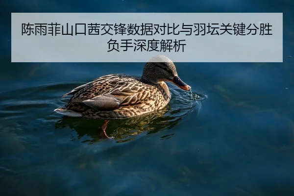 陈雨菲山口茜交锋数据对比与羽坛关键分胜负手深度解析